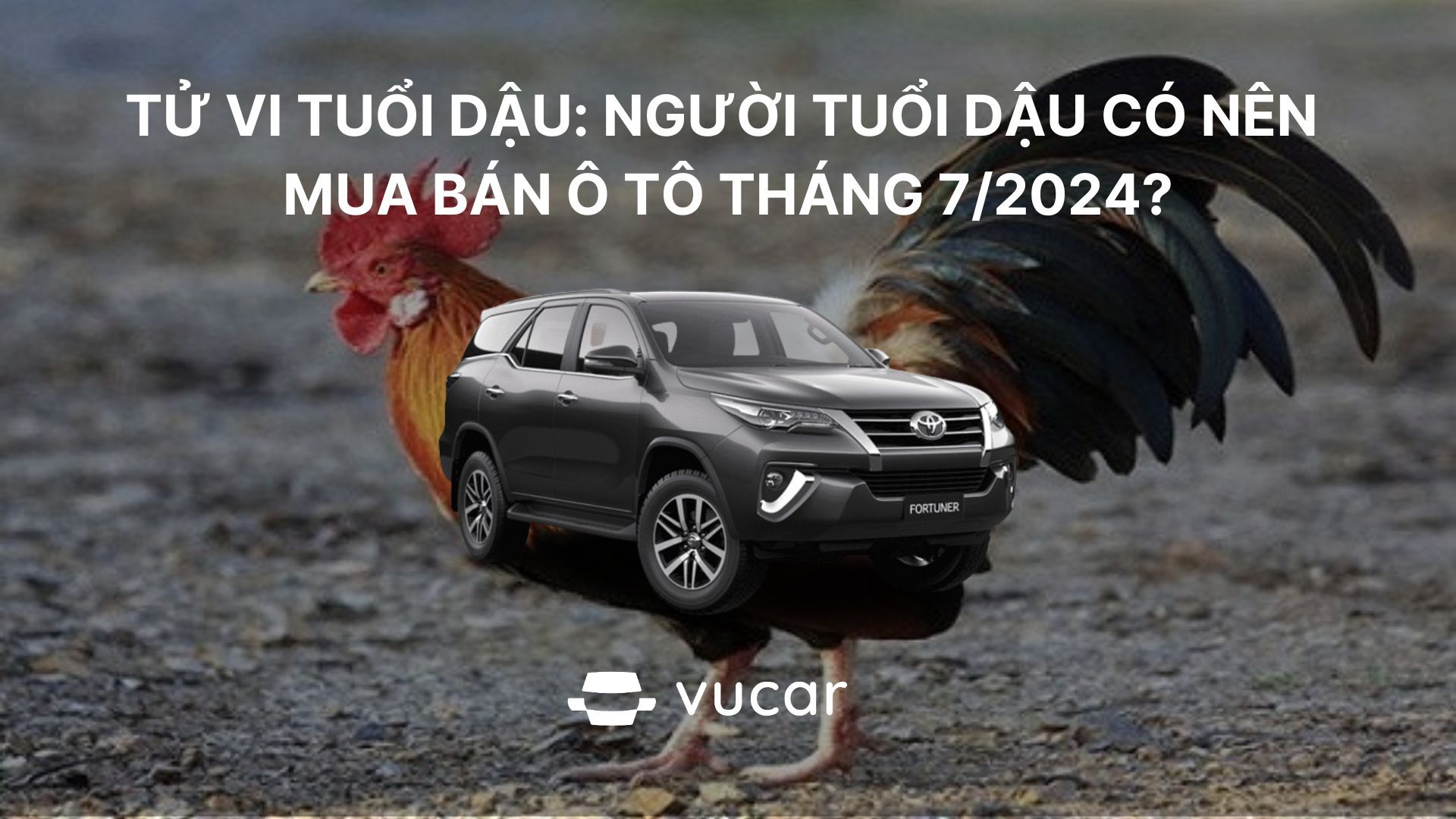 Tử vi tuổi Dậu tháng 7/2024