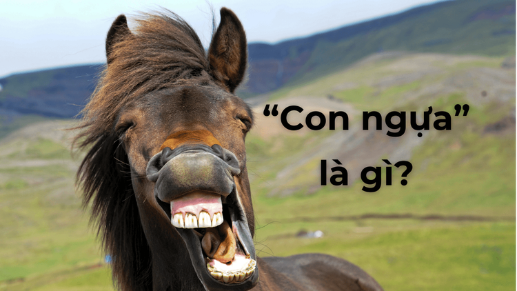 Con ngựa xe ô tô là gì.png