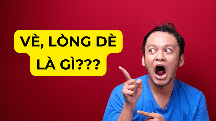 Lòng dè xe ô tô.png