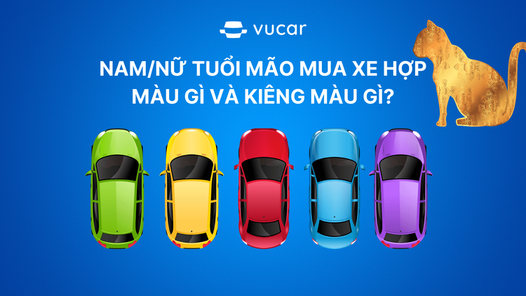 Nam/Nữ Tuổi Mão Mua Xe Hợp Màu Gì Và Kiêng Màu Gì?