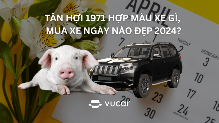 Tân Hợi 1971 hợp màu xe gì, mua xe ngày nào đẹp 2024?