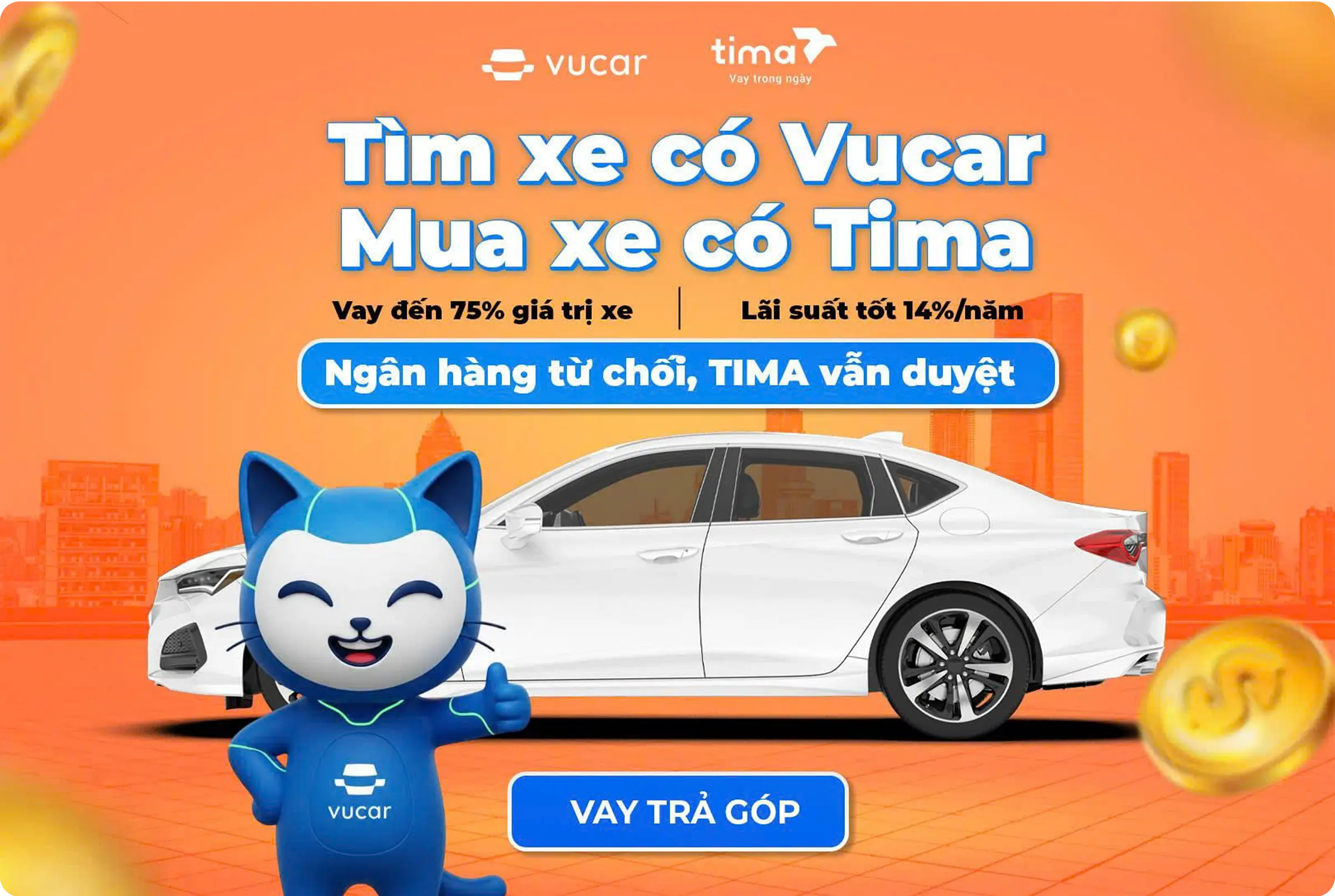 Tima Banner