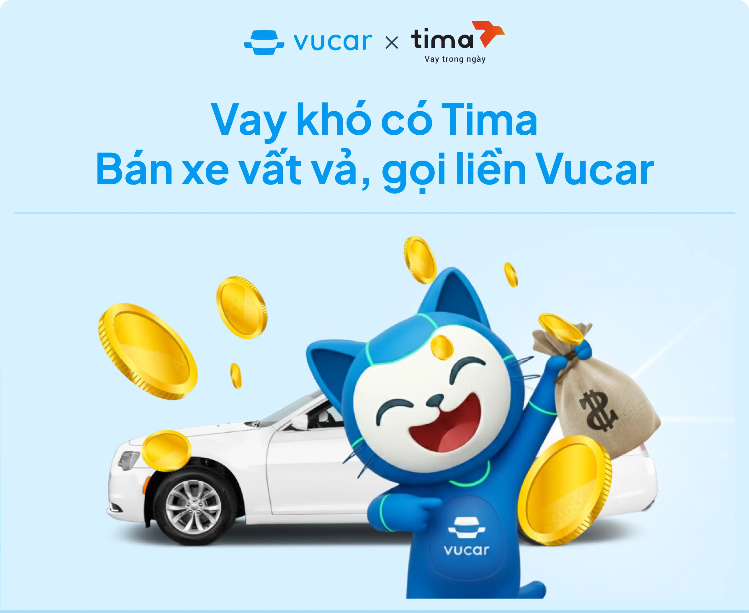 Vucar x Tima partnership banner